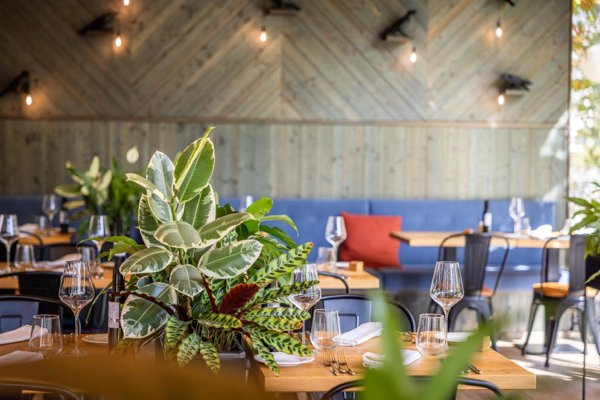 Boutique Hotel Sunrose 7 - Gourmet & Spa (Adults Only) Bohinj Buitenkant foto